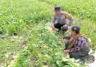 Polisi-Sambangi-Lahan-Sayur-Warga-di-Sidoarjo,-Dukung-Ketahanan-Pangan-Lokal