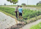 Polsek-Tarik-Polresta-Sidoarjo-Masifkan-Patroli-Ketahanan-Pangan-dengan-Sambang-Petani