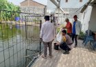 Kapolsek-Sedati-Harapkan-Budidaya-Ikan-Nila-Meningkatkan-Hasil-Produksi-untuk-Swasembada-Pangan-Mandiri