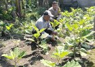 Bhabinkamtibmas-Desa-Jemirahan-Koordinasi-dengan-Petani-Dukung-Ketahanan-Pangan-Nasional