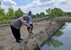 Warga-Simoketawang-Manfaatkan-Lahan-Kosong-untuk-Budidaya-Lele,-Dukung-Program-Ketahanan-Pangan-Polresta-Sidoarjo