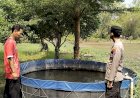 Pengecekan-Budidaya-Ikan-Lele,-Bukti-Keberhasilan-Program-Ketahanan-Pangan-P2B