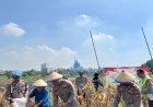 Polsek-Taman-Panen-Jagung-Serentak-di-Lahan-Lingkar-Mas-Sepanjang,-Dukung-Ketahanan-Pangan-Nasional