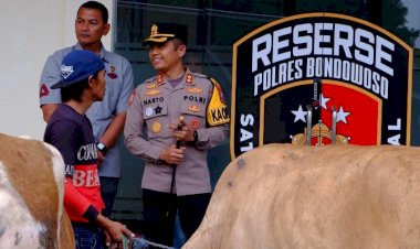 Polres-Bondowoso-Berhasil-Temukan-dan-Kembalikan-3-ekor-Sapi-yang-Hilang-Pemilik-Tersenyum-Riang