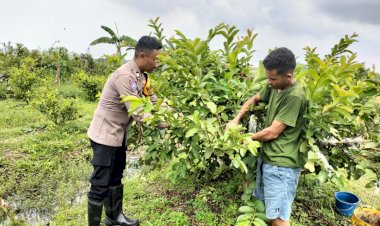 Polsek-Taman-Pantau-Tanaman-Hortikultura-untuk-Hasil-Optimal