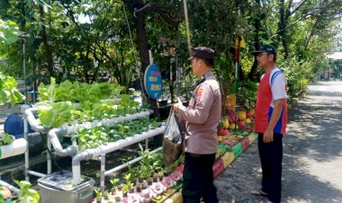 Warga-Perum-MCG-Antusias-Tanam-Sayur-Hidroponik-Dukung-Ketahanan-Pangan