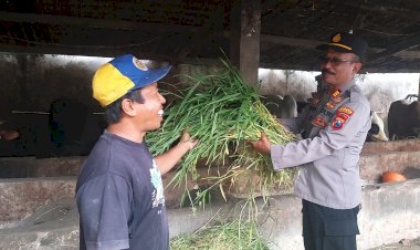 Perhatikan-Gizi-Masyarakat,-Tingkatkan-Kualitas-Ternak-Sapi