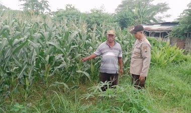 Polsek-Tarik-Masifkan-Patroli-Sambang-Desa,-untuk-Kondusifitas-Kamtibmas-dan-Kelangsungan-Ketahanan-Pangan