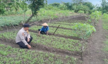 Polisi-Sukodono-Tinjau-Tanaman-Sayur-di-Lahan-Pekarangan-Pangan-Bergizi-Desa-Suruh