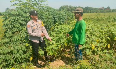 Polsek-Krembung-Dampingi-Petani-Jagung-di-Tanjekwagir-untuk-Wujudkan-Ketahanan-Pangan-Polresta-Sidoarjo