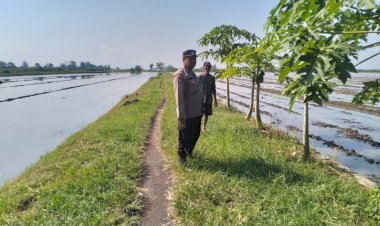 Polresta-Sidoarjo-Sinergi-dengan-Warga-Optimalkan-Pekarangan-Pangan-Bergizi