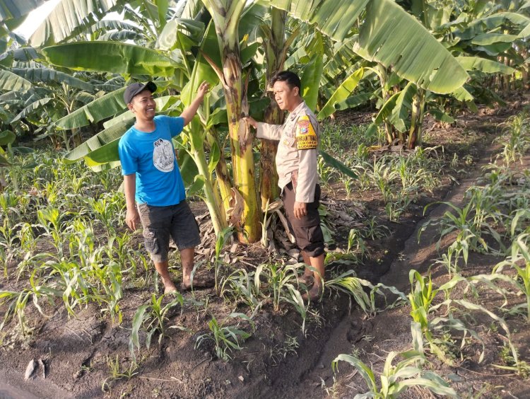 Bhabinkamtibmas Desa Sukorejo Aipda Sony Handriansyah Dampingi Warga Garap Lahan Ketahanan Pangan