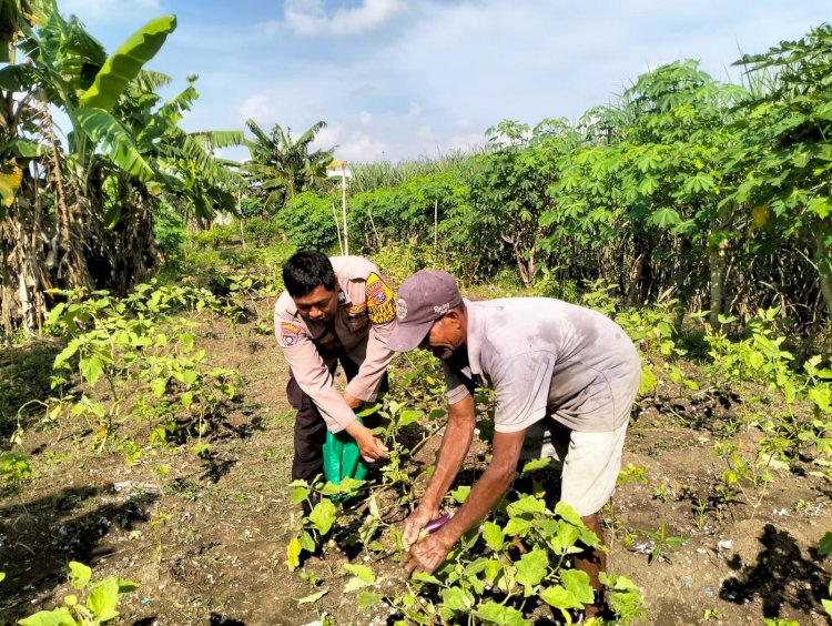 Dukung Program Ketahanan Pangan, Bhabinkamtibmas Desa Jiken Tinjau Lahan Produktif Warga