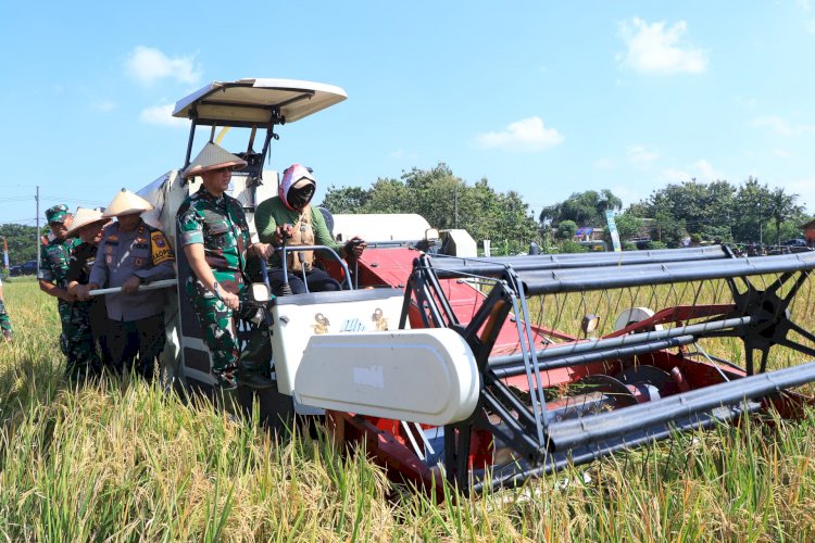 Dukung Ketahanan Pangan Kapolda Jatim Bersama Forkopimda Panen Raya Padi di Ngawi