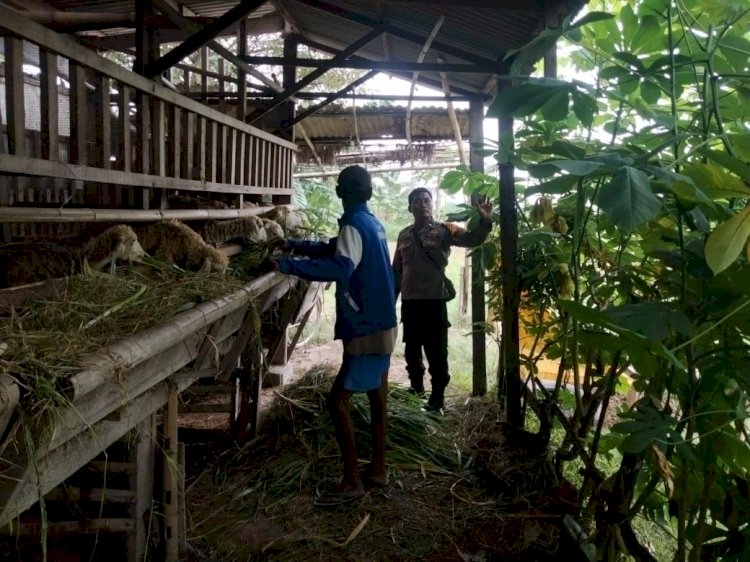 Kolaborasi Polisi dan Warga Optimalkan Perawatan Kambing Dukung Ketahanan Pangan