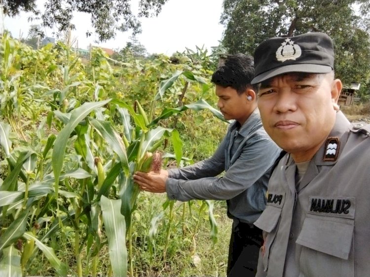 Kapolsek Sedati Masifkan Patroli Desa, Dukung Ketahanan Pangan Warga