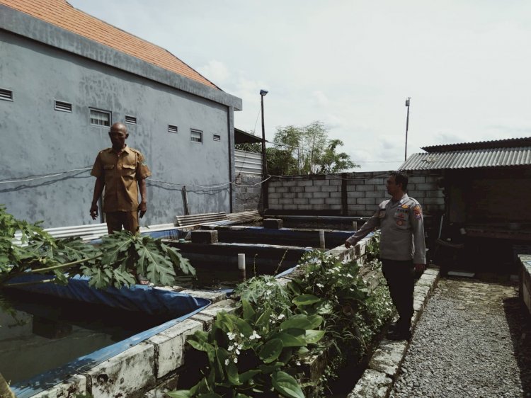 Polresta Sidoarjo | Sebanyak 20 Petak Kolam Ikan Lele Warga Desa Durungbedug Candi, Siap Topang Ketahanan Pangan