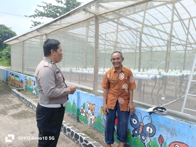 Polsek Sukodono Dukung Penuh Warga Tingkatkan Hasil Buah Melon Golden