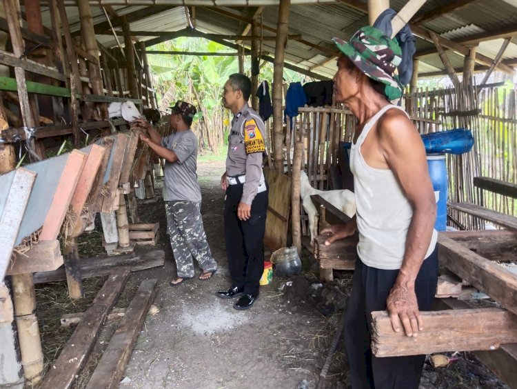 Peternak Kambing di Sidokerto Dapat Pendampingan Perawatan Hewan dari Bhabinkamtibmas