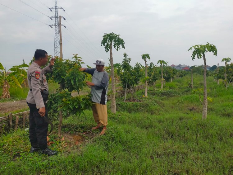 Polisi bersama Warga Pagerwojo, Wujudkan Ketahanan Pangan Kembangkan Tanaman Alpukat